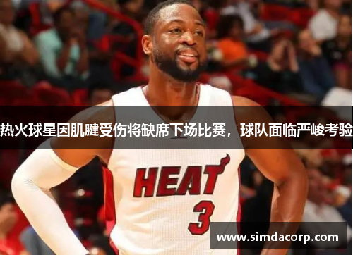 热火球星因肌腱受伤将缺席下场比赛，球队面临严峻考验